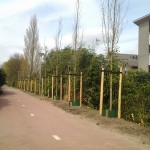 Renovatie groen op diverse projecten Gemeente Nijkerk (Angeler)